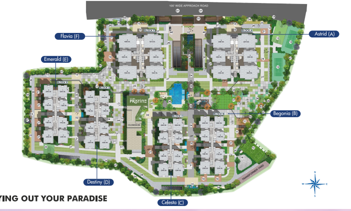 rajapushpa pristinia